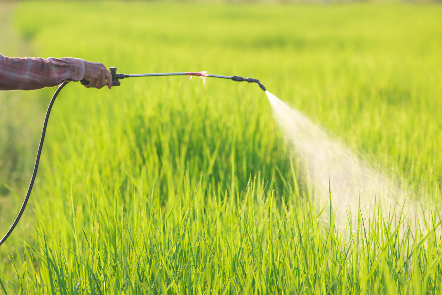 gmo, non-gmo, clean-living, how-to-avoid-pesticides, glyphosate, non-toxic-living-tips