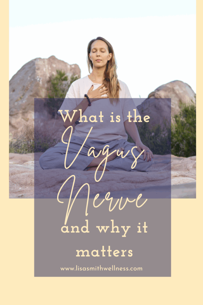 vagus-nerve, mood-balance, healthy-digestion, naturally-youthful-skin
