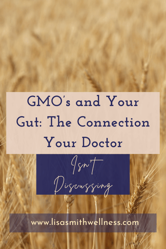 Golden wheat field representing GMO crops and their connection to gut health issues