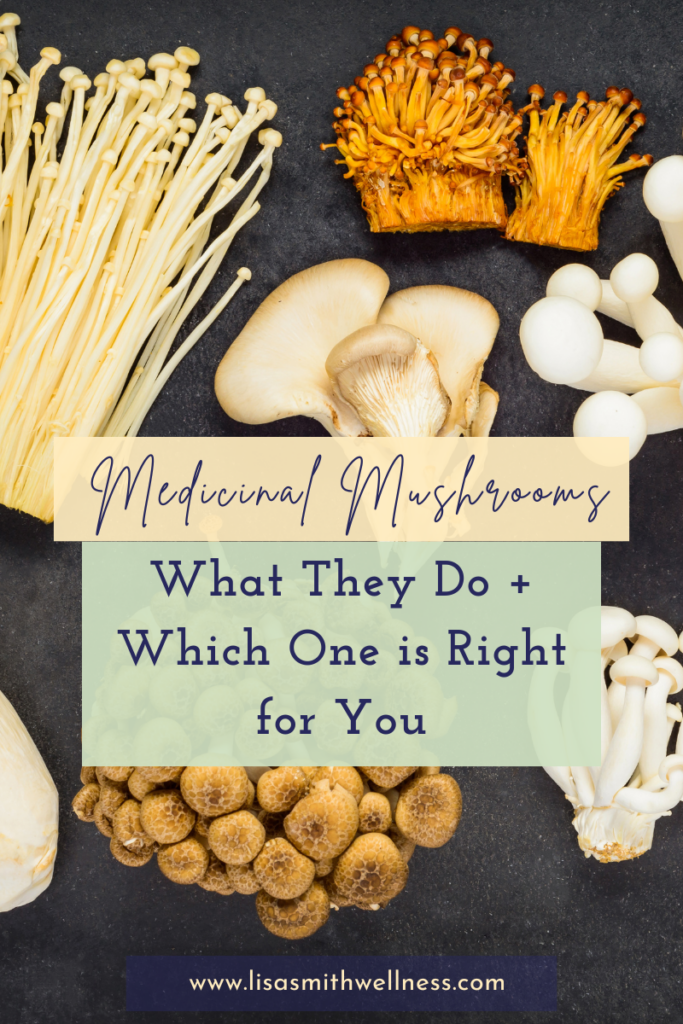 flatlay of edible mushrooms